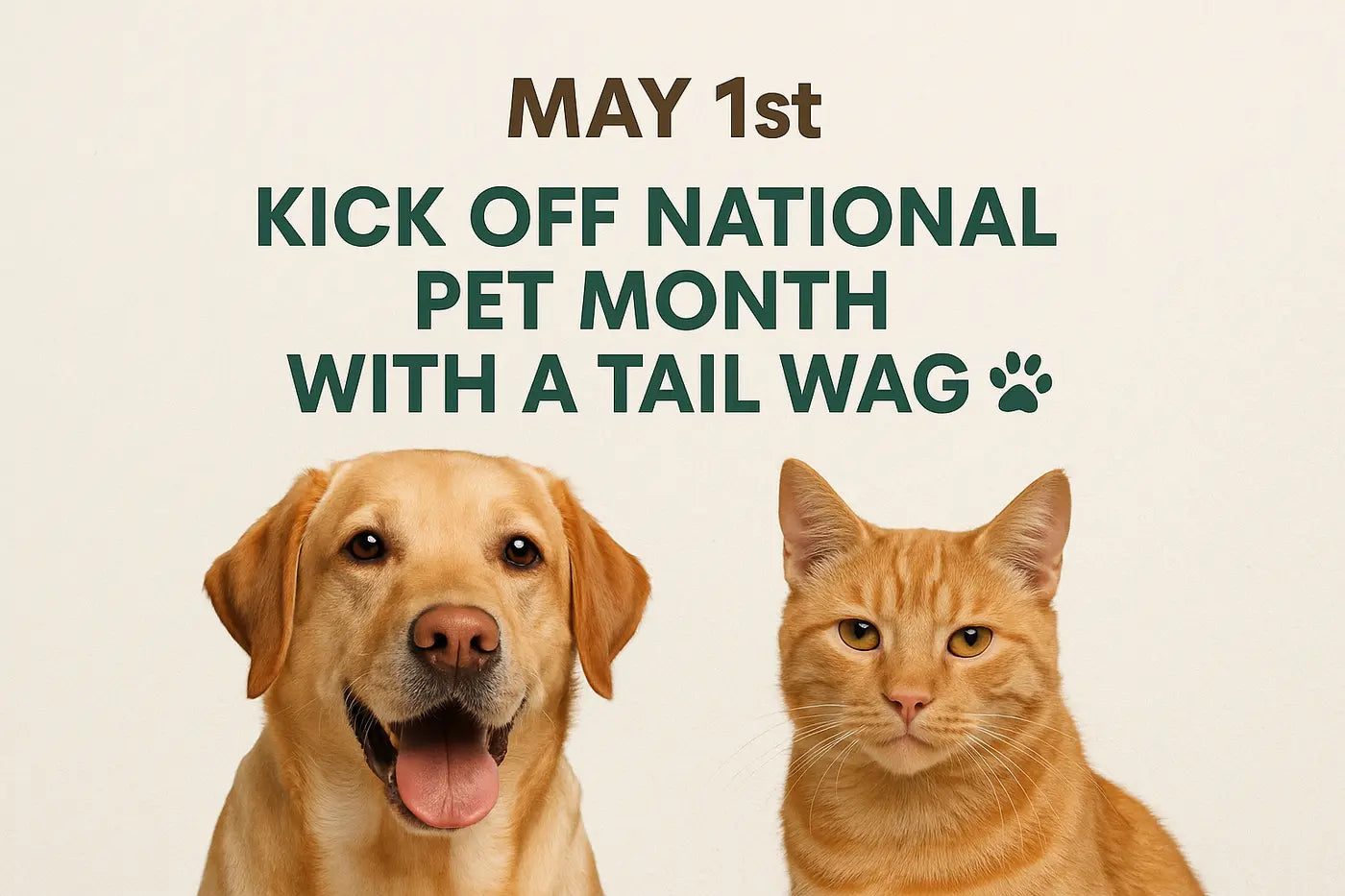 Yellow Labrador and orange tabby cat beside text kicking off National Pet Month on May 1st.