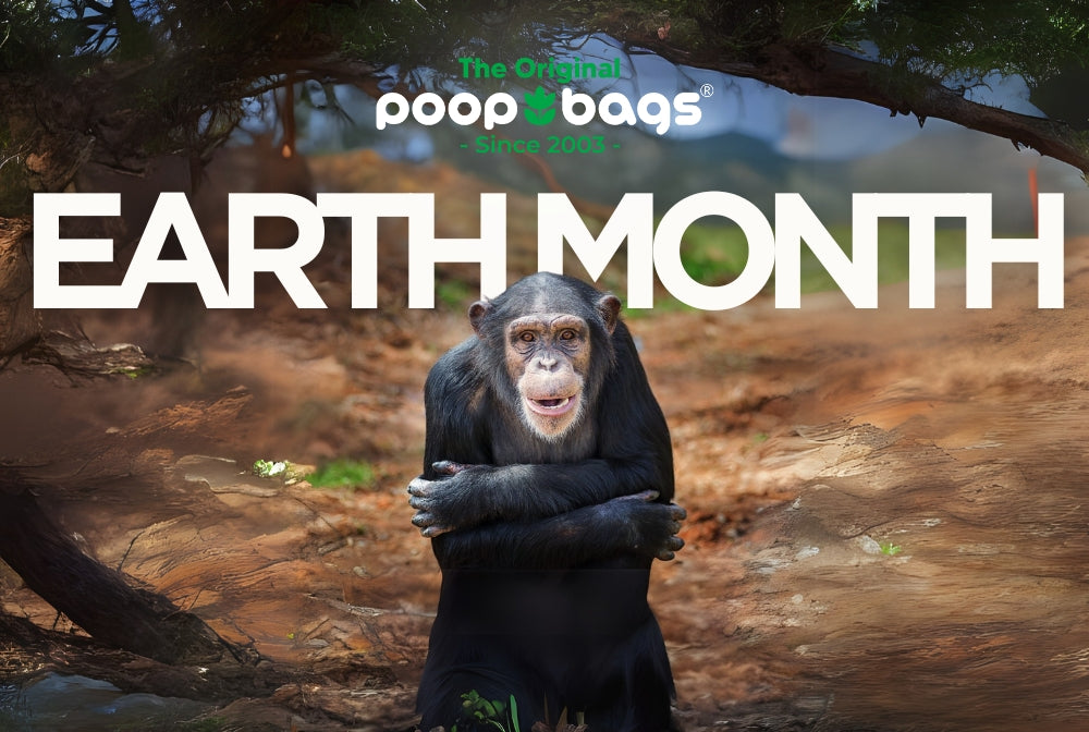 Chimpanzee with arms crossed sits below a bold Earth Month heading and Original Poop Bags logo.