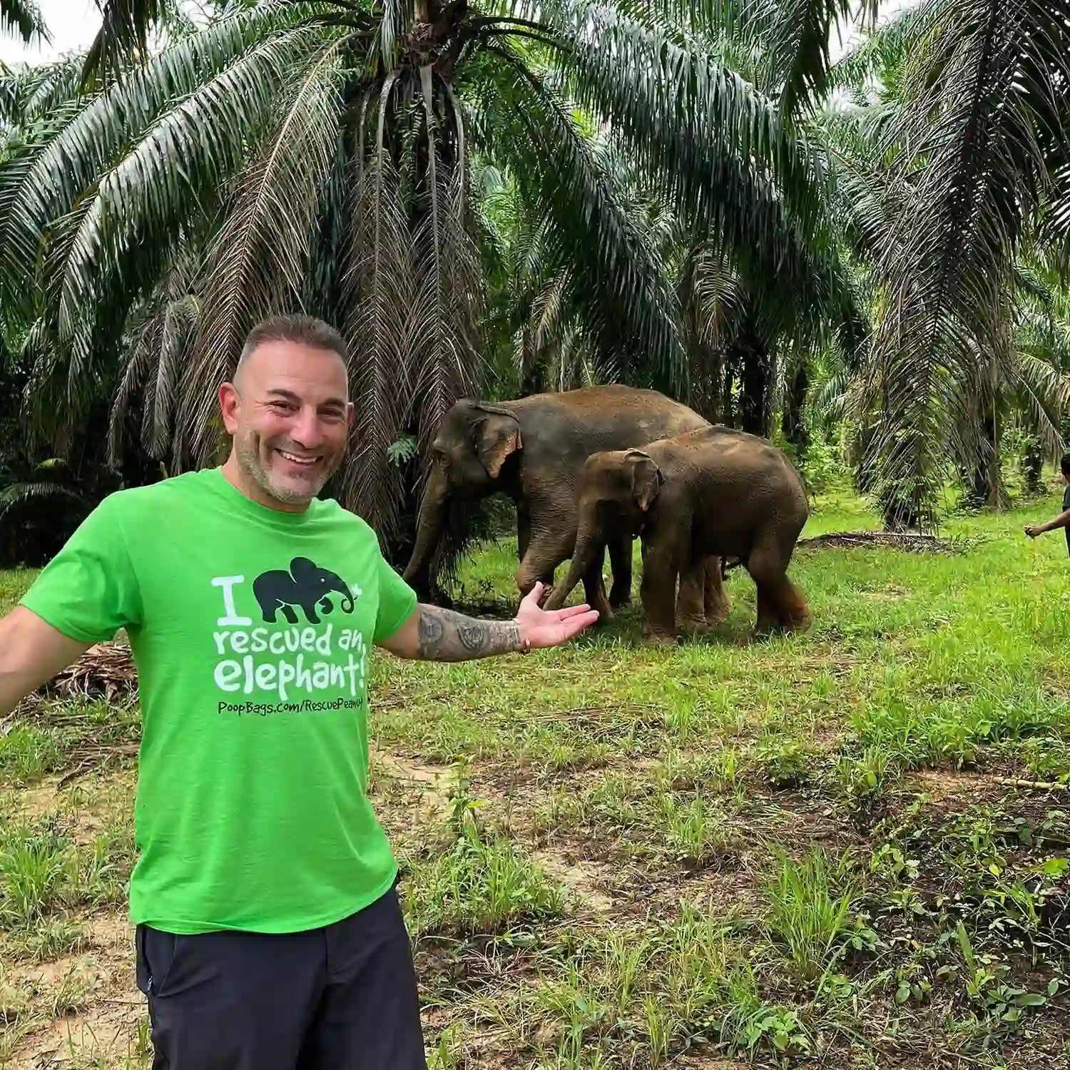 Person in green rescue shirt gestures toward two elephants grazing among lush palm trees.