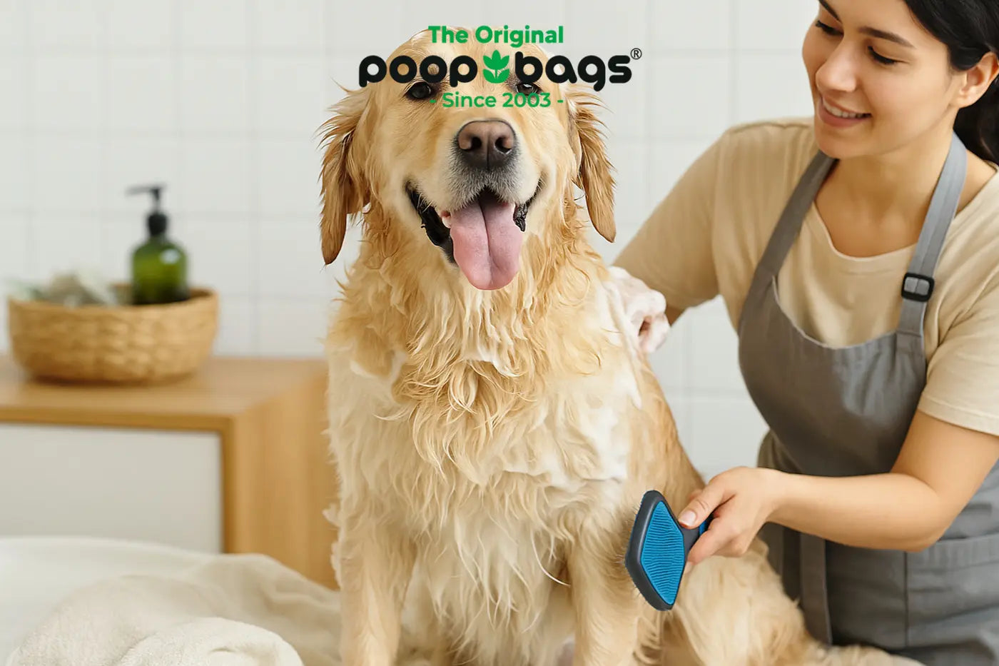 Groomer brushing a wet Golden Retriever with a blue slicker brush during a bath.