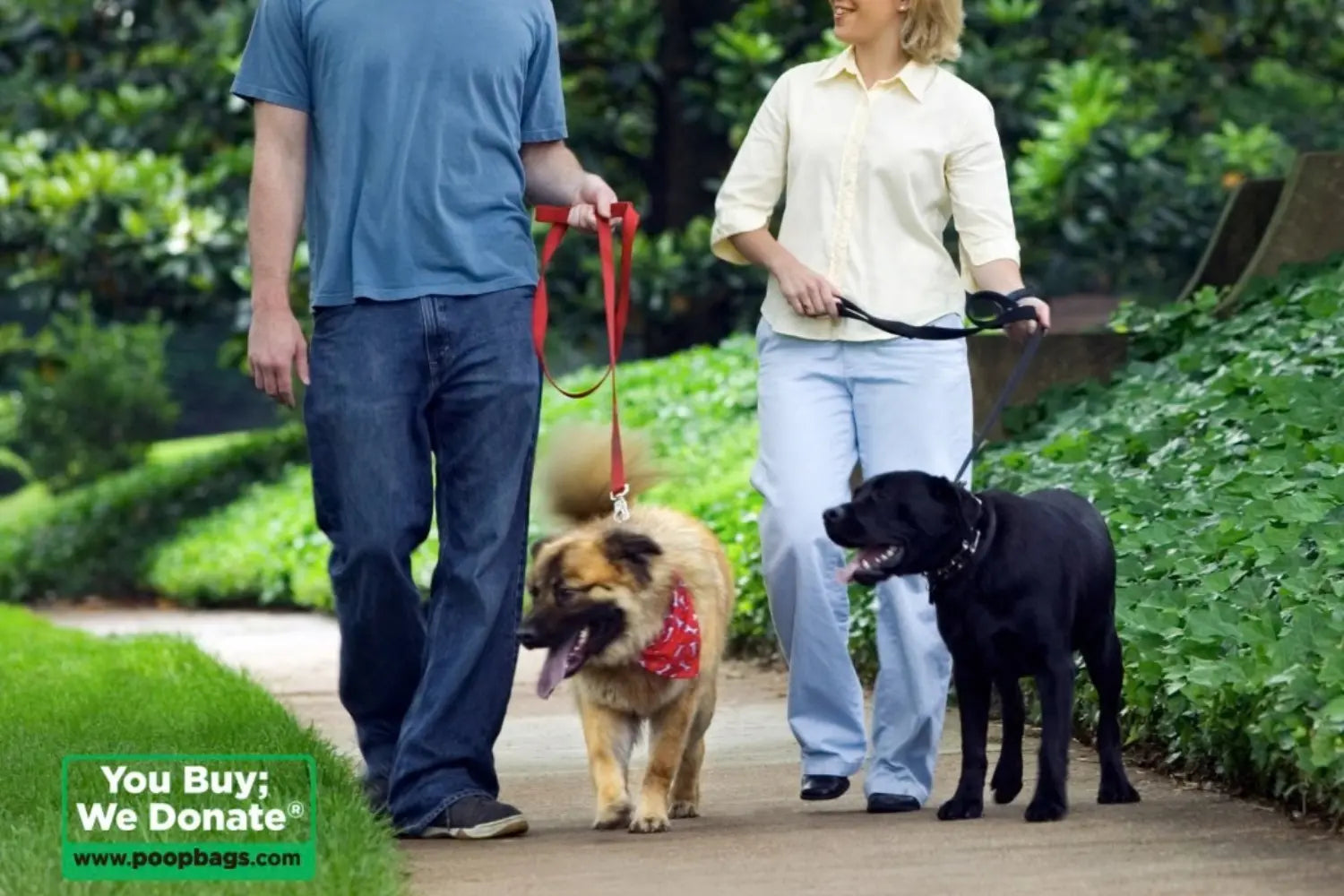 Biodegradable dog poop bags from poopbags.com used by a couple walking a golden dog and black Labrador along a lush park path.