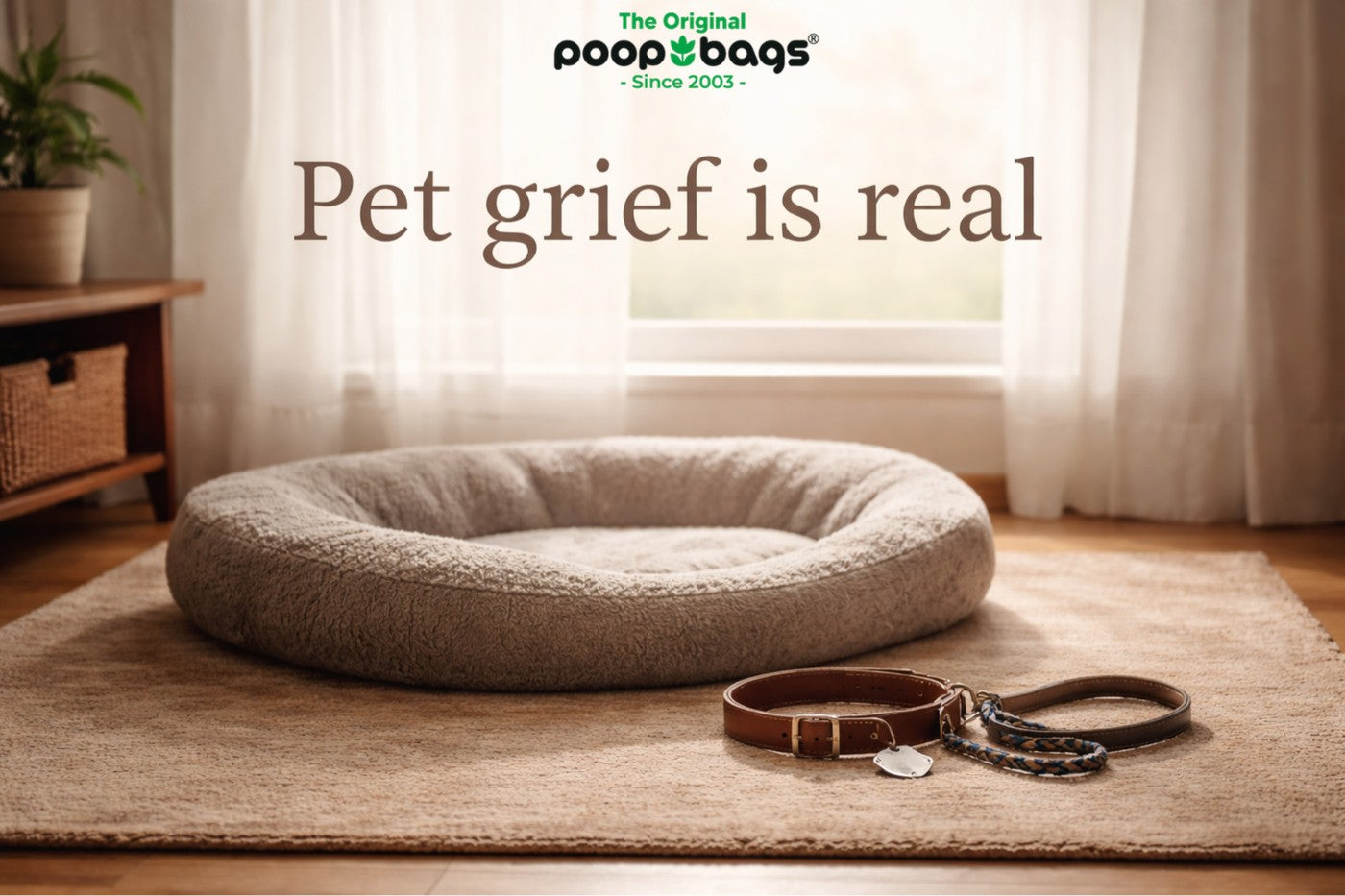 Empty dog bed with a leather collar and leash on a rug, evoking pet grief and loss.