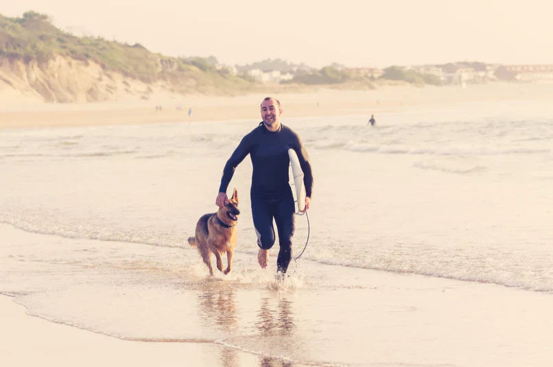 Person in a wetsuit runs along the shoreline with a German Shepherd at the beach.