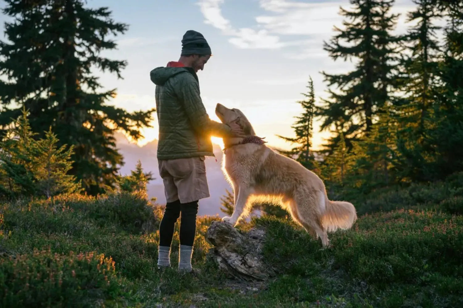 Sustainable dog poop bags for outdoor adventures shown with a man and his golden retriever hiking together on a mountain trail at sunset surrounded by evergreen trees