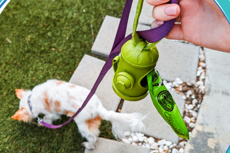 Green fire-hydrant leash dispenser holding poop bags while walking a small dog outdoors.