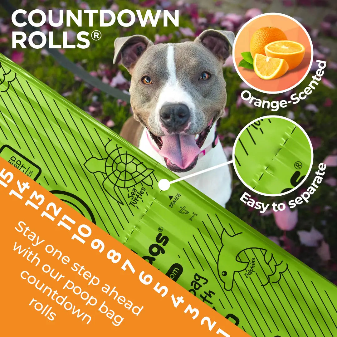 Smiling pit bull behind orange-scented dog poop bag rolls with tear-off countdown numbers that are easy to separate.