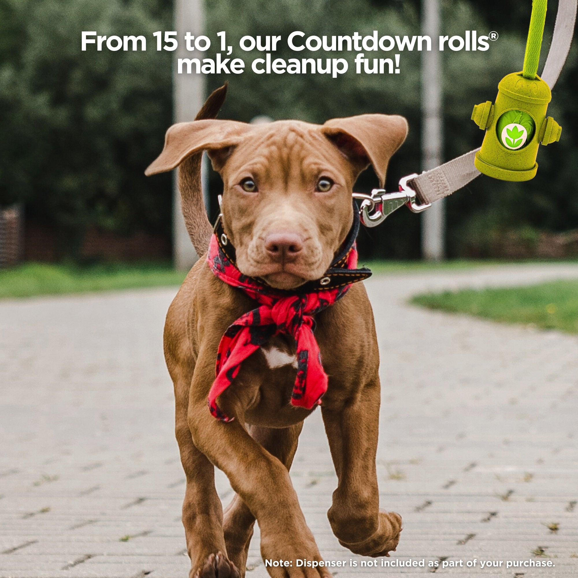 Brown puppy on leash with green poop bag dispenser clipped, showing Countdown Rolls in use.