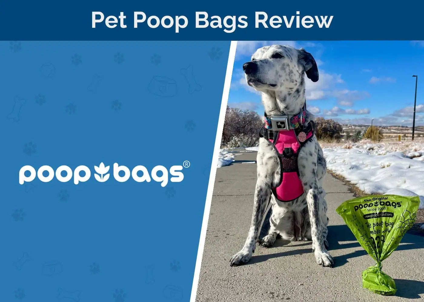 Spotted dog in a pink harness beside a green eco friendly dog poop bag on a snowy path.