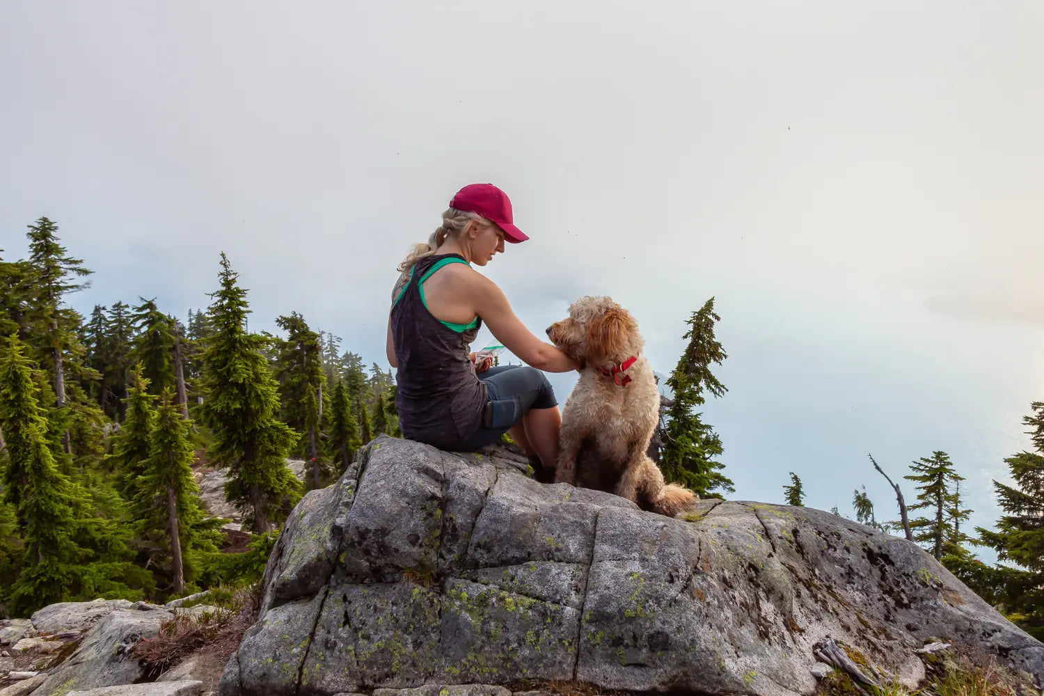 Hiking With Dogs: A Trailhead Guide to Pack-It-Out Cleanup