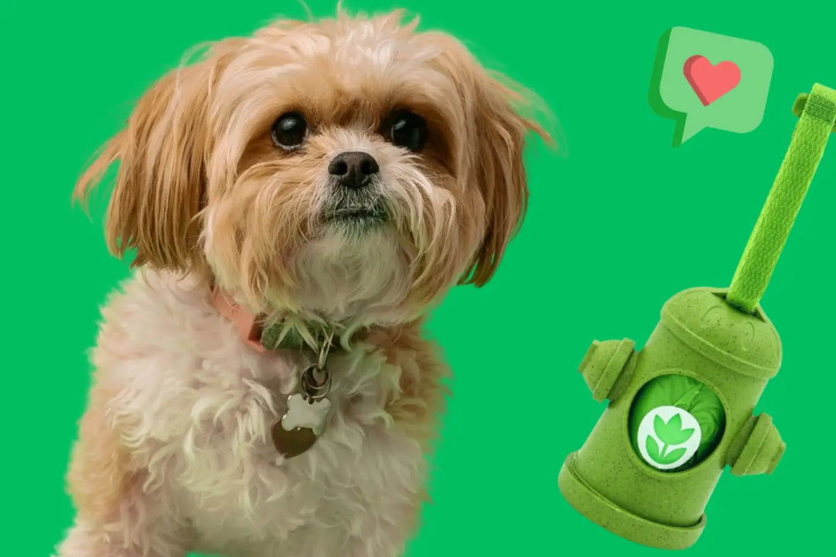 Leash roll poop bags dispenser in a green fire hydrant shape shown next to a small, fluffy tan and white dog.
