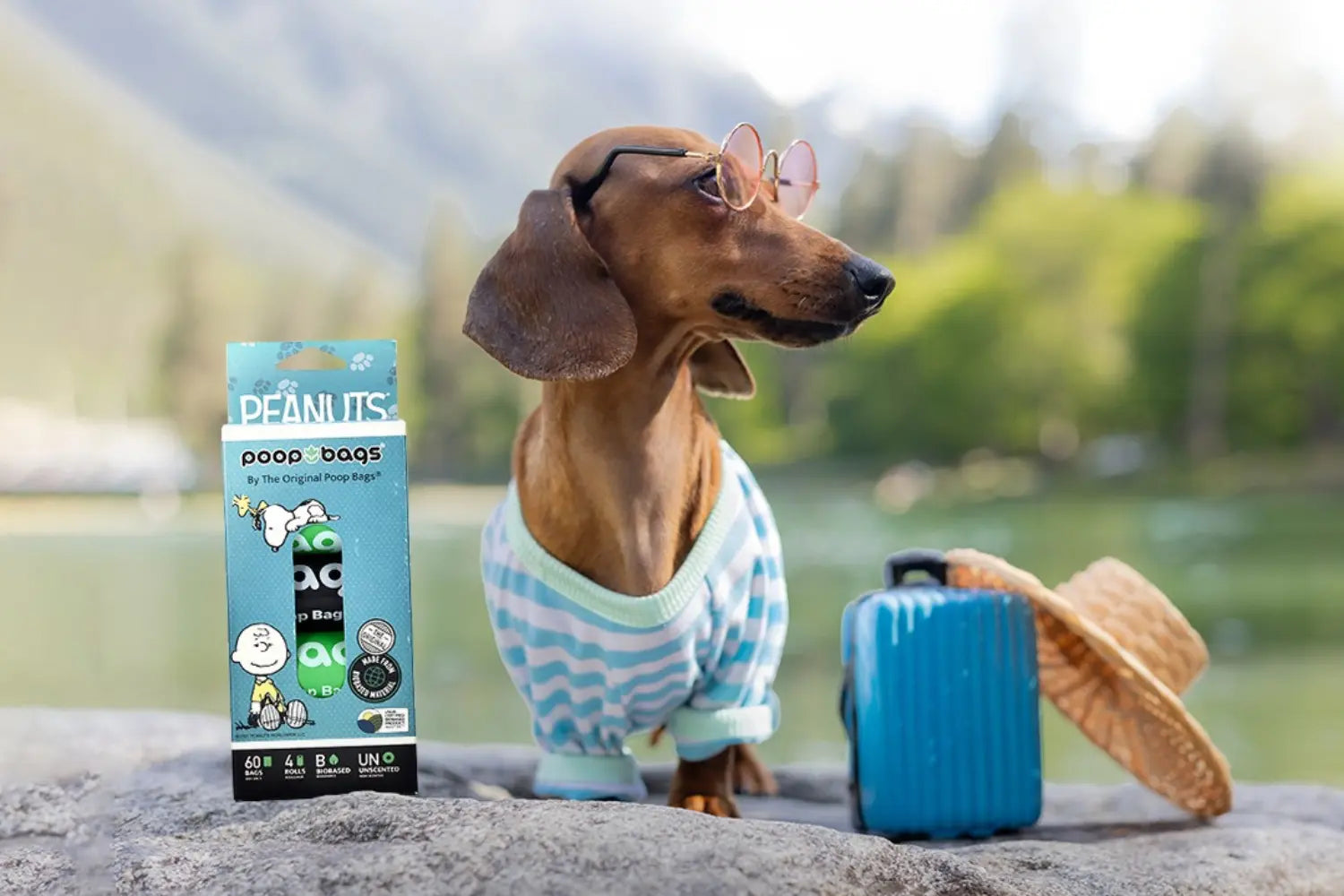 Dog waste bags by The Original Poop Bags in a Peanuts-themed 60-count biobased pack next to a dachshund wearing sunglasses and a striped shirt with a mini suitcase and straw hat by a lake