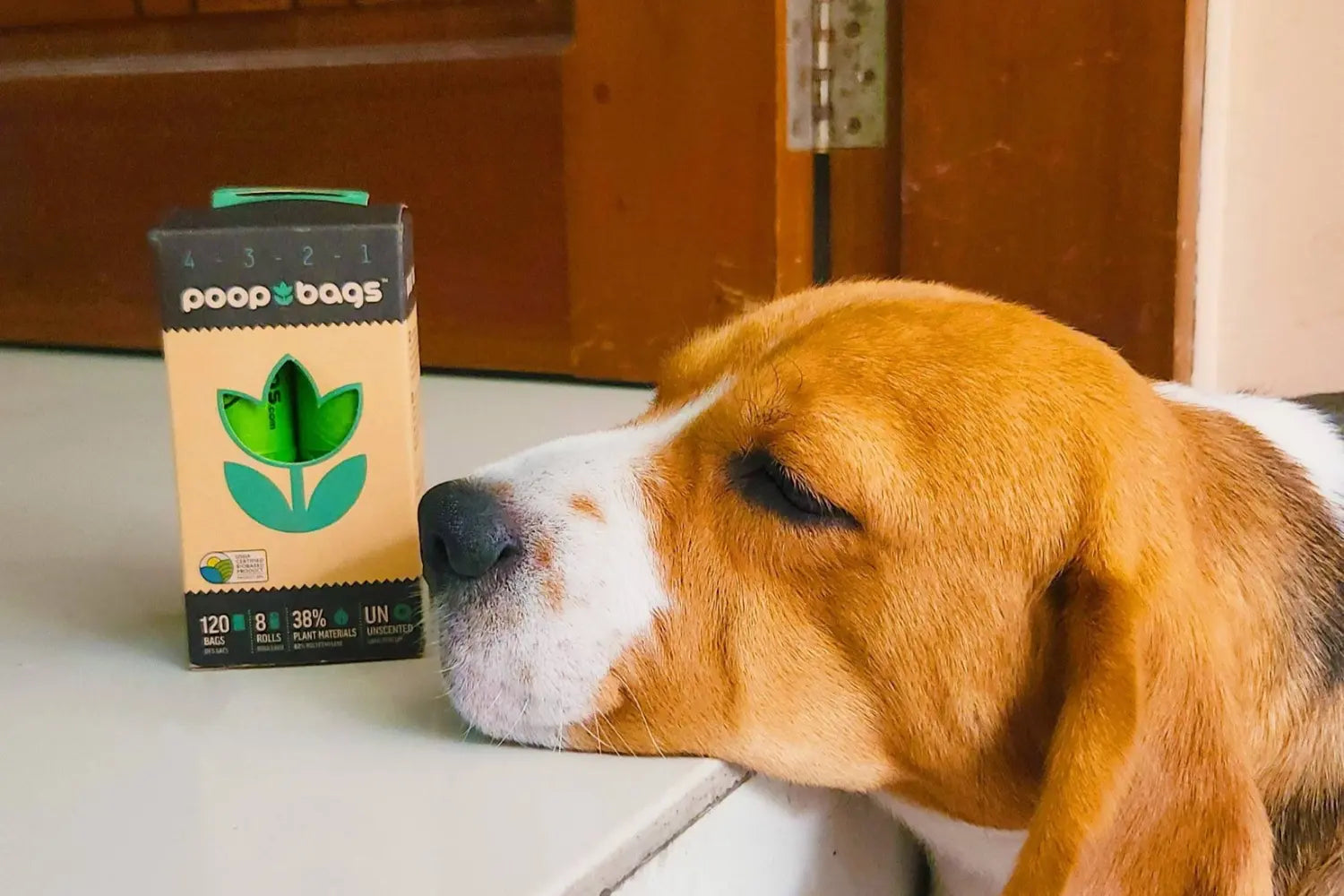 Earth-friendly dog poop bags by Poop Bags in a 120-count box made with 38% plant materials next to a beagle resting its chin on a countertop