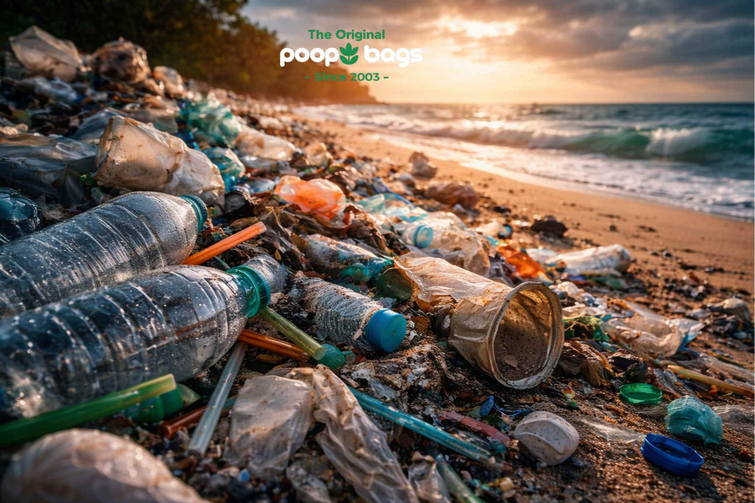 Plastic bottles, straws, and waste littering a sandy beach shoreline at sunset.