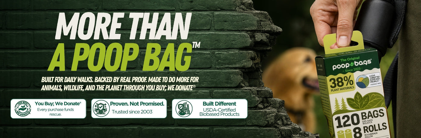 Eco friendly dog poop bags in single roll, multi-roll, and handle bag boxes with a dog.
