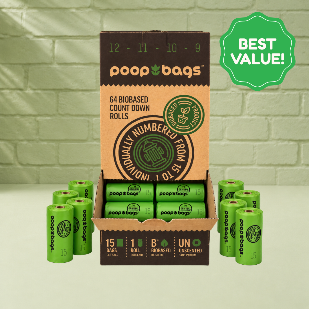 Countdown Rolls® Unscented Leash Roll Poop Bags 960-Bag SuperBox