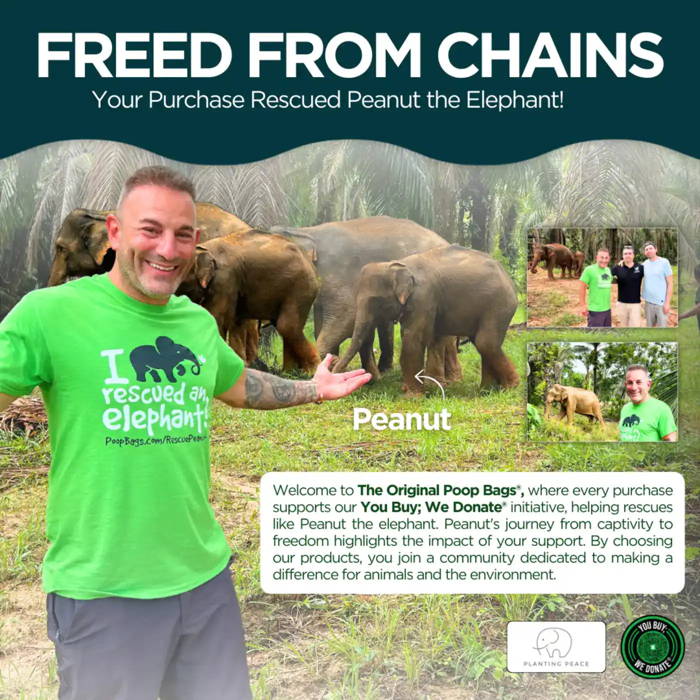 Man in green shirt with rescued elephant Peanut showing how poop bag purchases support elephant rescue programs