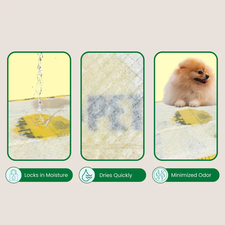 Unscented puppy training pads feature a comparison showing water absorption, quick-drying technology, and odor minimization with a pomeranian puppy