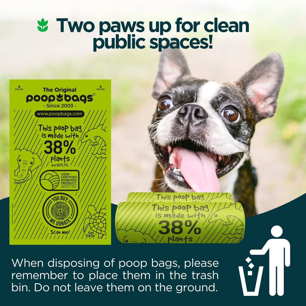 Boston Terrier beside green 38% plants bulk roll poop bags promoting clean public spaces.