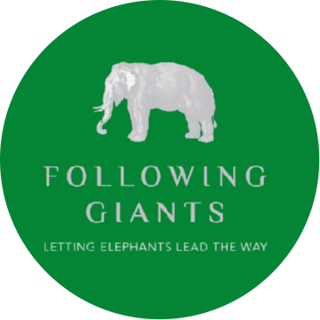 Tiny from Following Giants