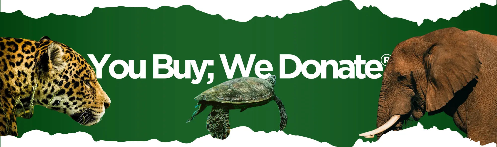 Wildlife conservation donation banner showing jaguar, sea turtle, and elephant on green background