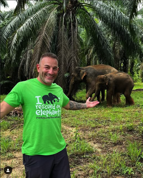 Man in green rescue elephant shirt standing near two elephants in tropical setting with palm trees