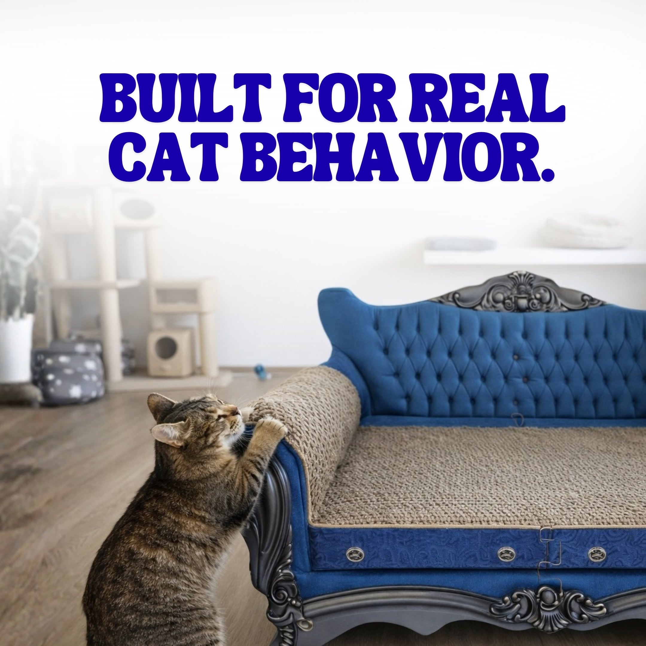 Tabby cat scratching woven surface of blue Catfidence cat scratcher sofa with ornate legs in modern living room environment