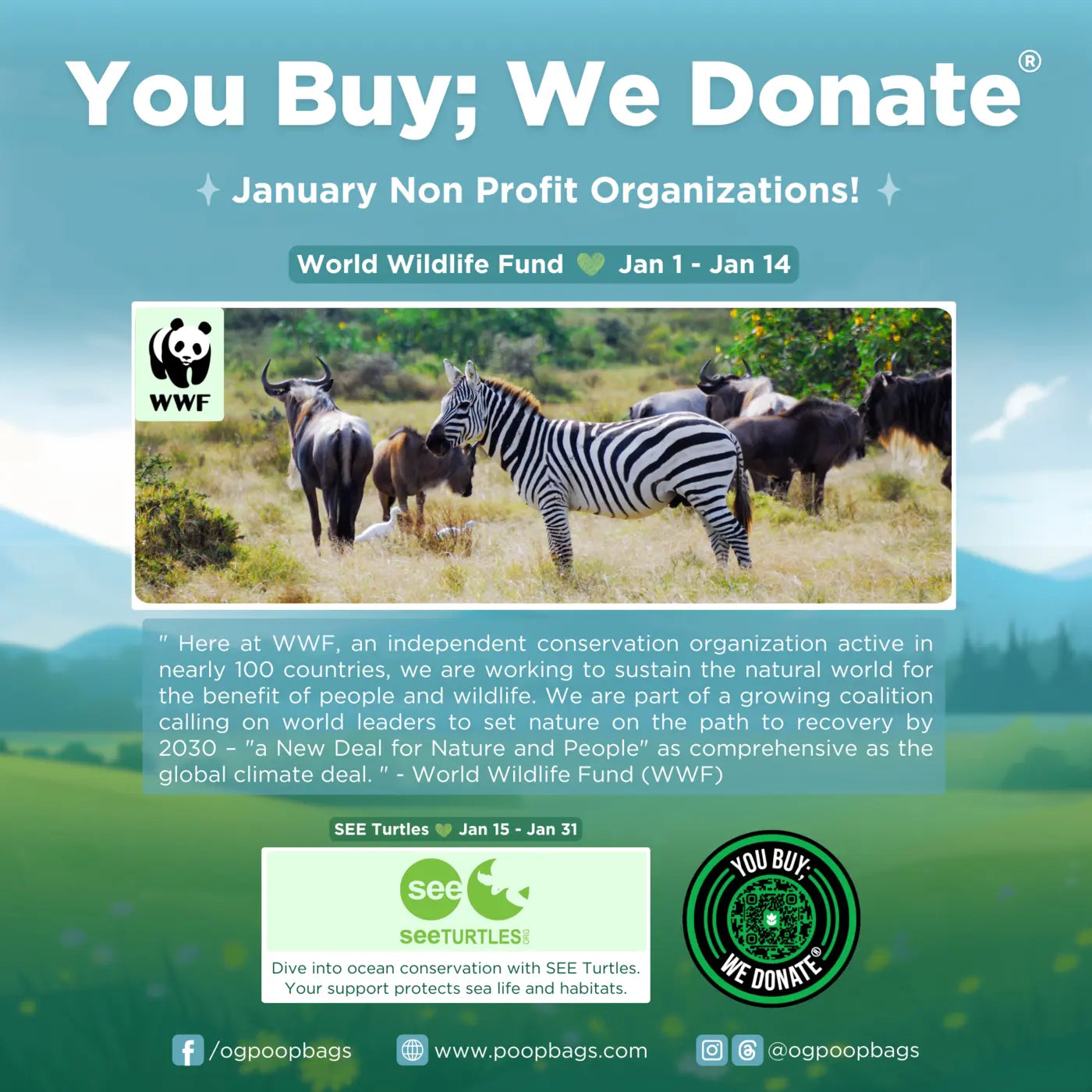 WWF wildlife conservation donation program showing zebras and wildebeest in natural habitat