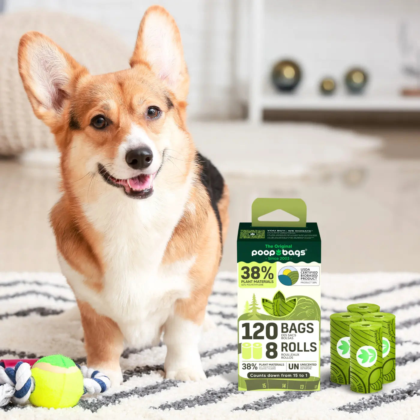 Happy corgi with eco friendly dog poop bags package showing 120 biodegradable bags made from 38% plant materials